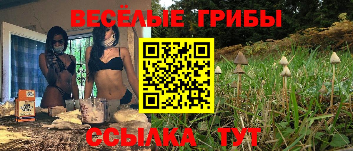 Псилоцибиновые грибы прущие грибы Псков